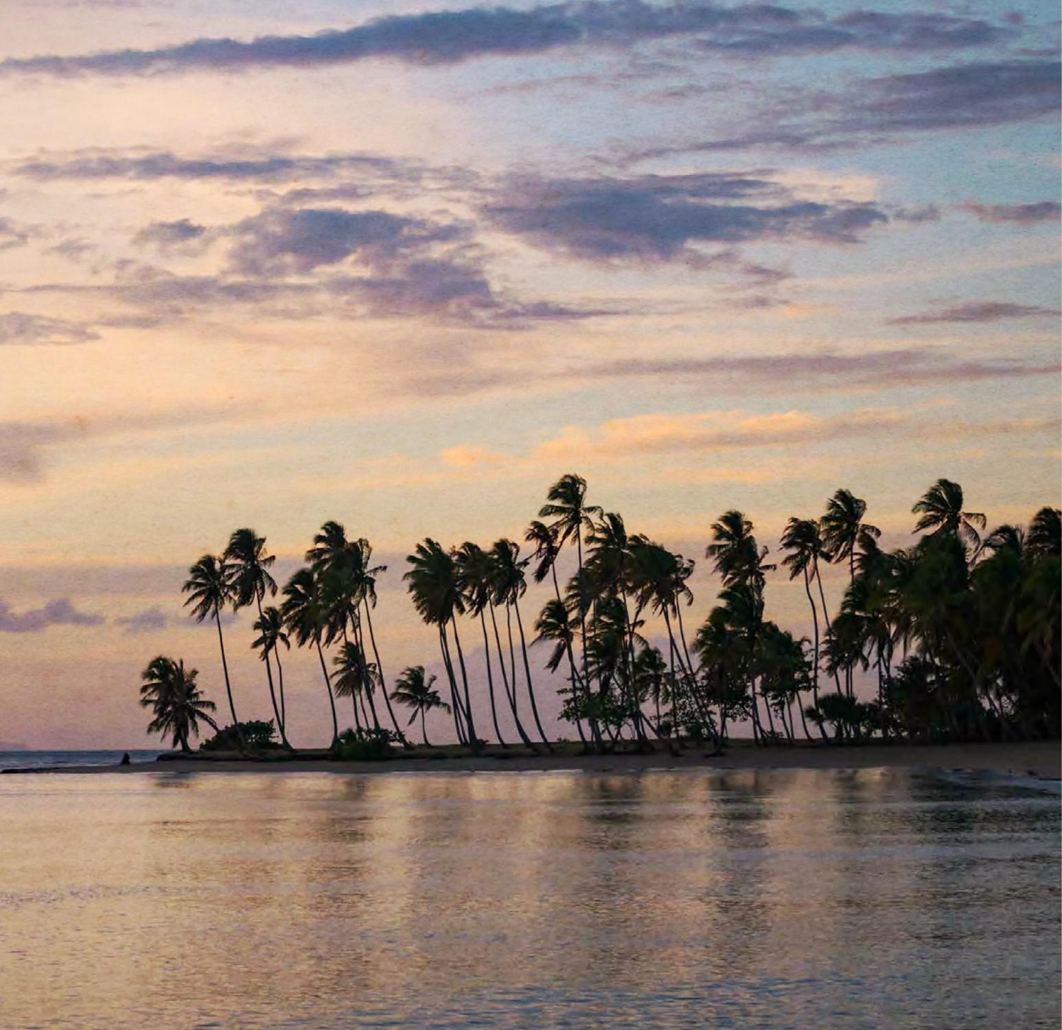 Palms at dusk on Playa Esmeralda, Miches