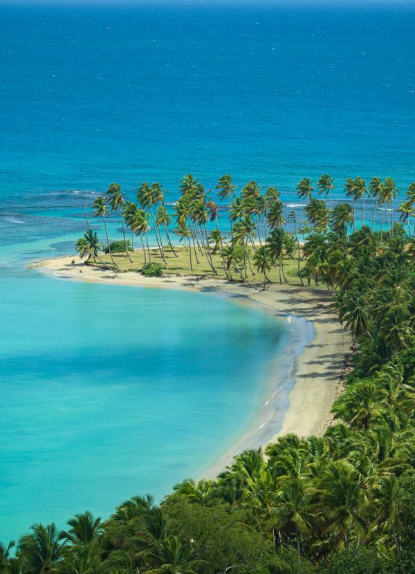 4 Seasons -3 (1) (1)