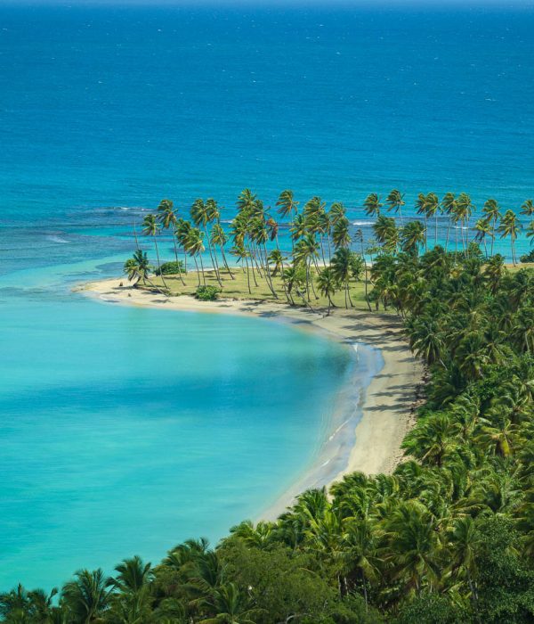 4 Seasons -3 (1) (1)