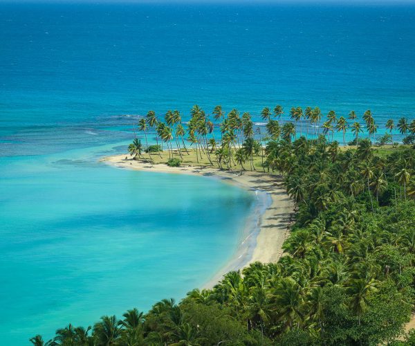 4 Seasons -3 (1) (1)