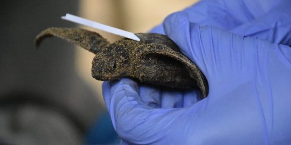 WhatsApp Image 2024-06-07 at 19.48.23_dc2e65dd